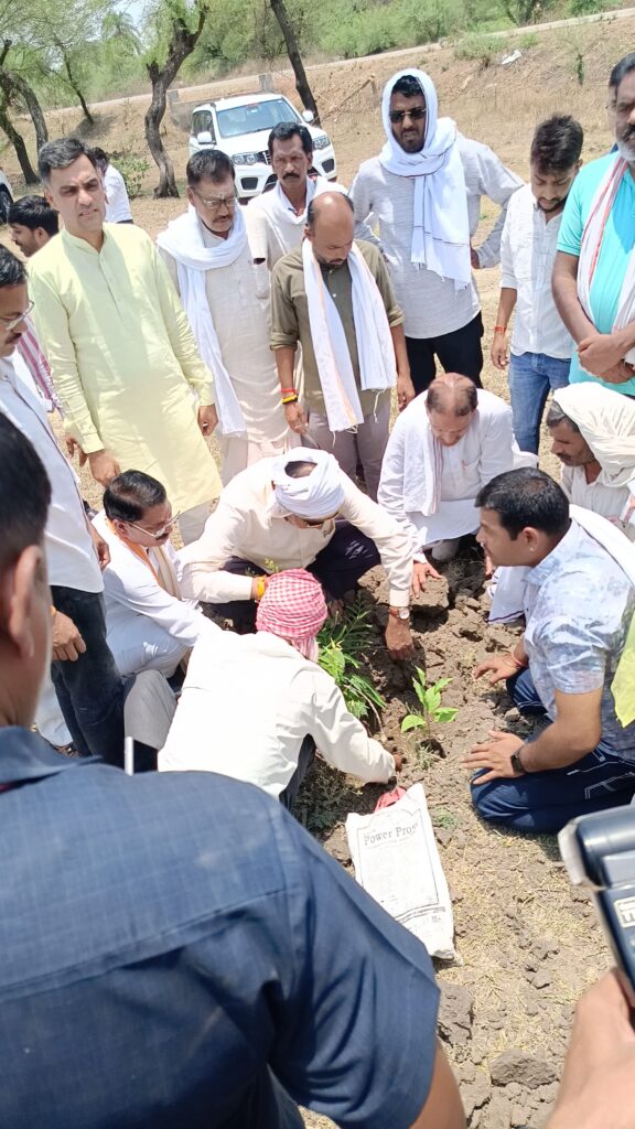 पंचकोशीय पौधों नीम पीपल बरगद पाकर आंवला को लागते हुये जालम सिंह पटेल पूर्व राज्य मंत्री एवं महेंद्र नागेश विधायक पूर्व विधायक हाकम सिंह चढ़ार सभी जनप्रतिनिधि कार्यकर्ता-THE TOPLINE - NARSINGHPUR
