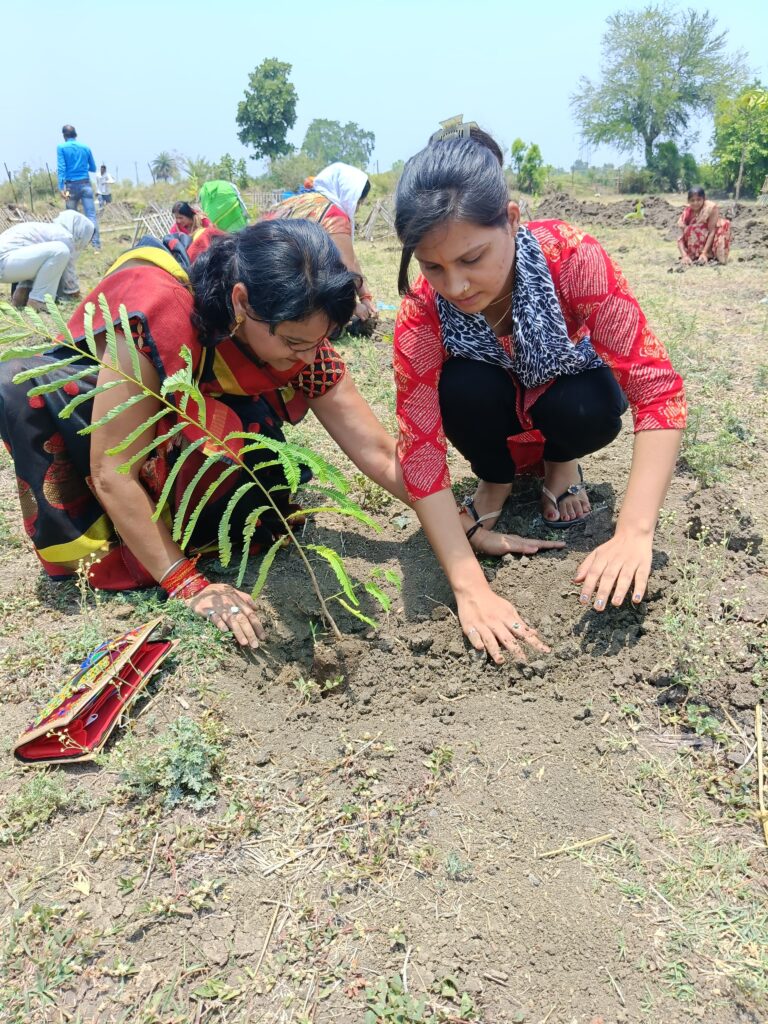 पौधारोपण करते हुए नई फाउंडेशन के सदस्य -THE TOPLINE - NARSINGHPUR