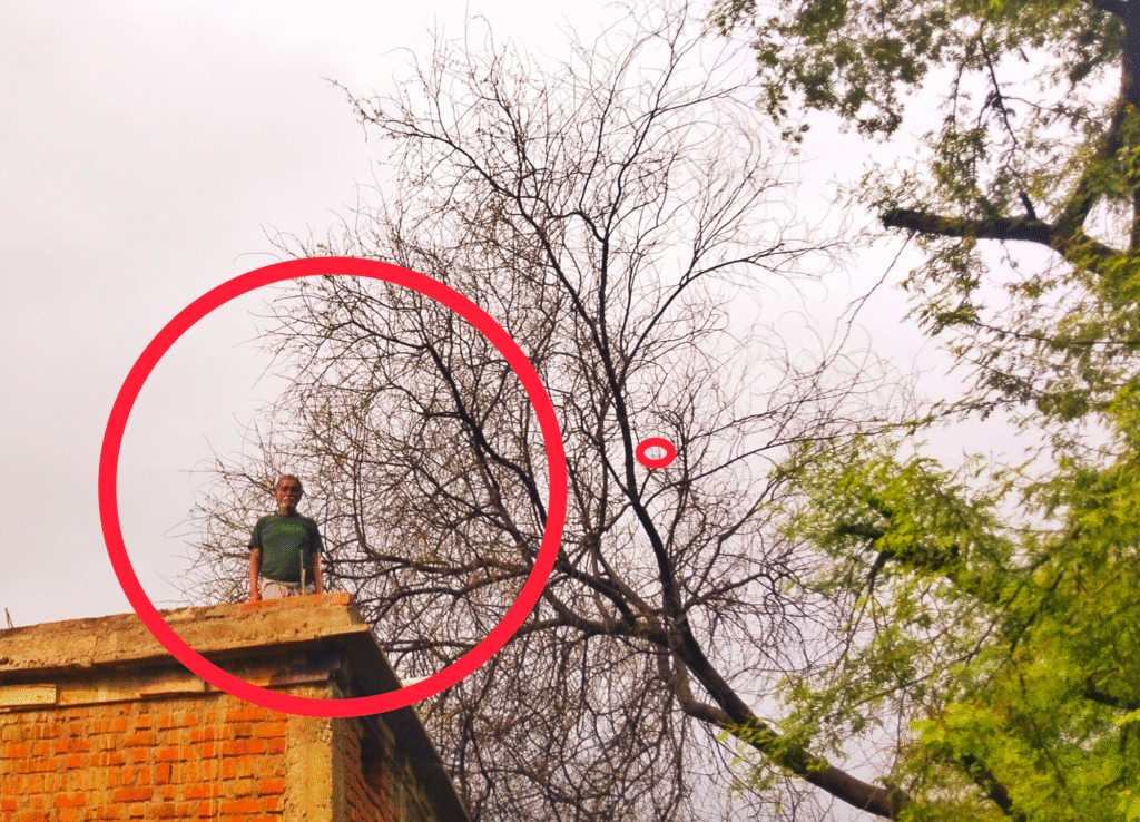 मूसलाधार बारिश और तेज आंधी ने मचाई तबाही, कई विशाल पेड़ गिरे, खोबी–मोहास मार्ग घंटों रहा जाम GOTEGAON