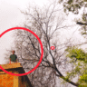 मूसलाधार बारिश और तेज आंधी ने मचाई तबाही, कई विशाल पेड़ गिरे, खोबी–मोहास मार्ग घंटों रहा जाम GOTEGAON